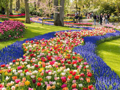 Keukenhof 4