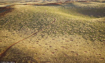 namib4