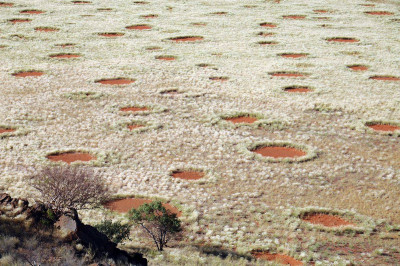 namib6