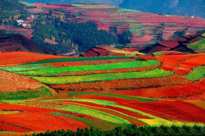 dongchuan red land2