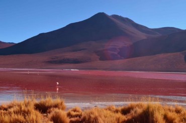 Laguna Colorada 1